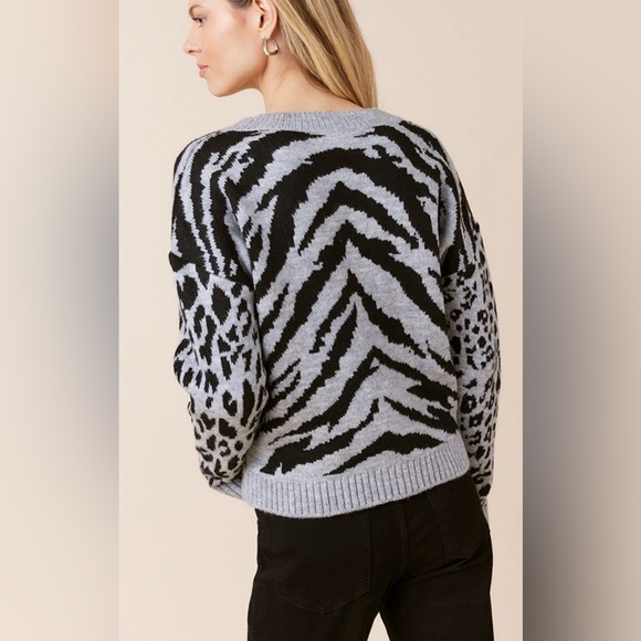 New Francesca’s Dianne Animal Print V Neck Pullover Sweater - Picture 5 of 6